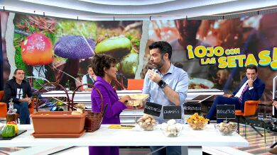 ¡Ya estamos en época de setas! Estas son las propiedades de las más consumidas y así puedes cocinarlas