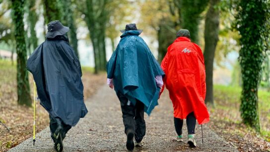 Peregrinos en el Camino de Santiago