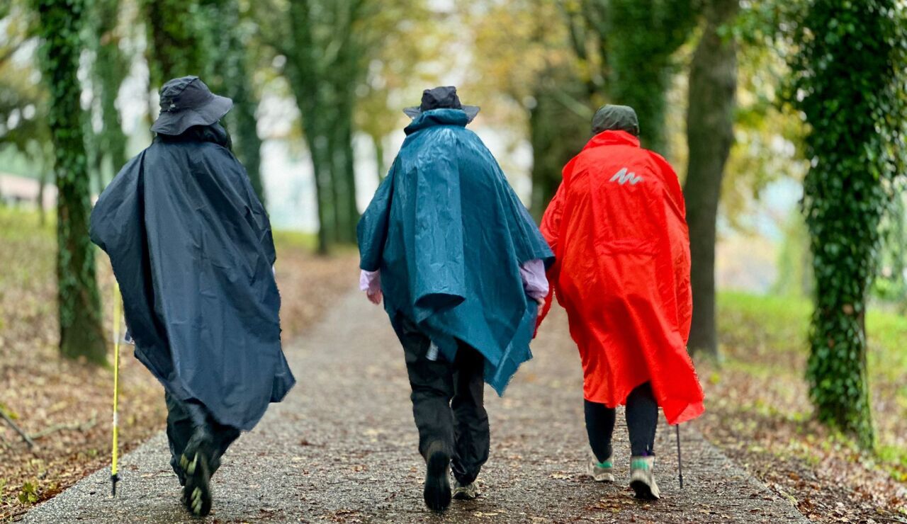 Peregrinos en el Camino de Santiago