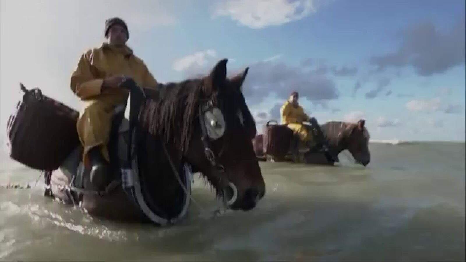 Los pescadores a caballo de camarones, en peligro por culpa del cambio climático
