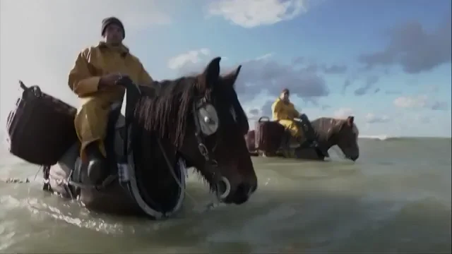Los &uacute;ltimos pescadores a caballo
