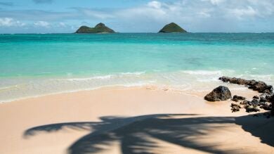 Se busca a una pareja urgentemente para cuidar la isla de un millonario en el Caribe por 170.000 euros