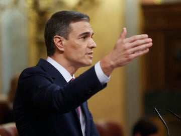 Pedro Sánchez, en el debate de investidura