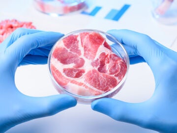 Carne cultivada en un laboratorio