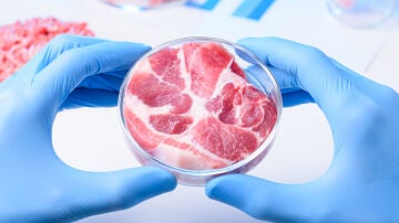 Carne cultivada en un laboratorio