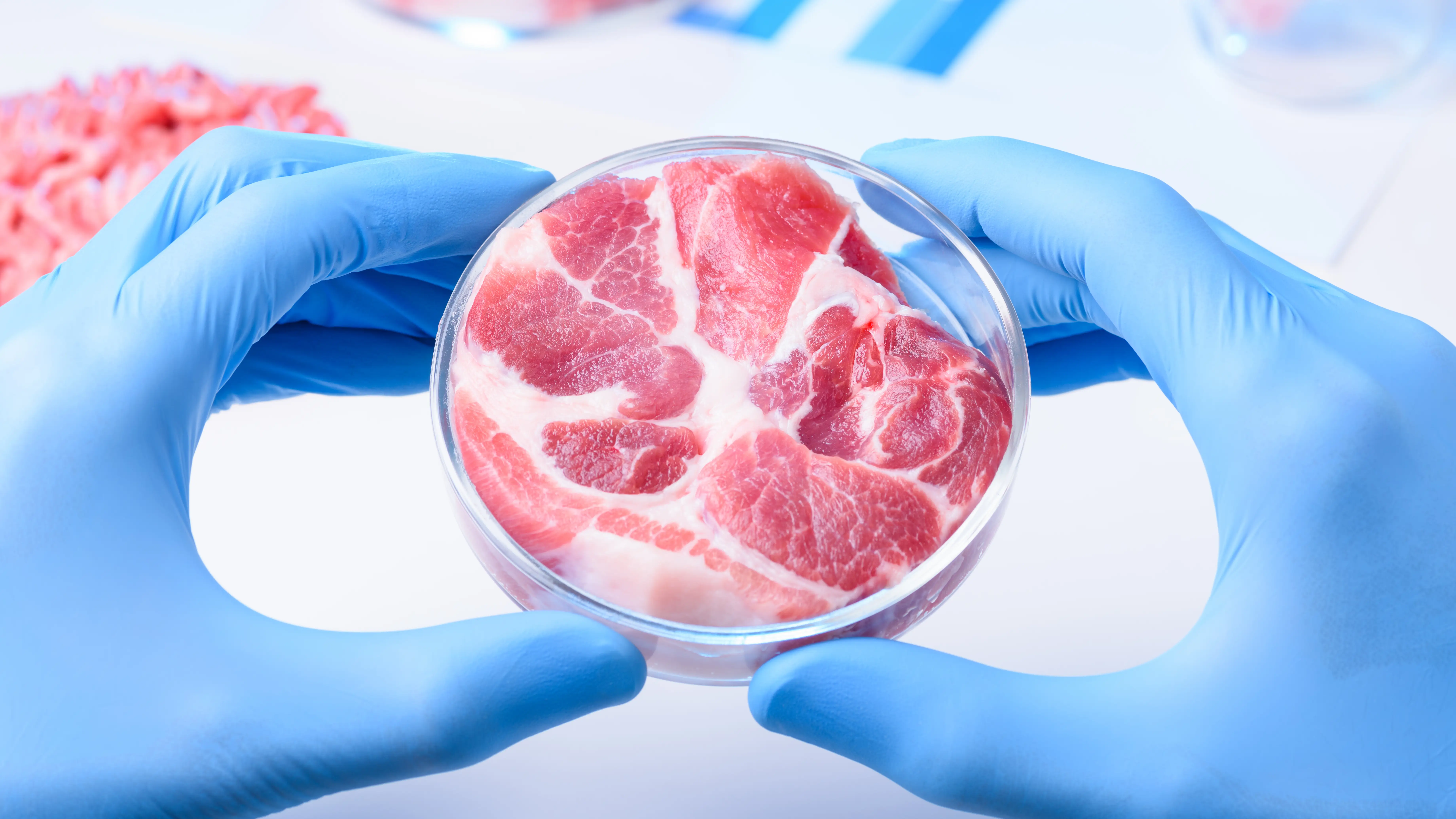 Carne cultivada en un laboratorio Carne cultivada en un laboratorio