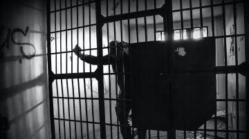 Imagen de archivo de una celda