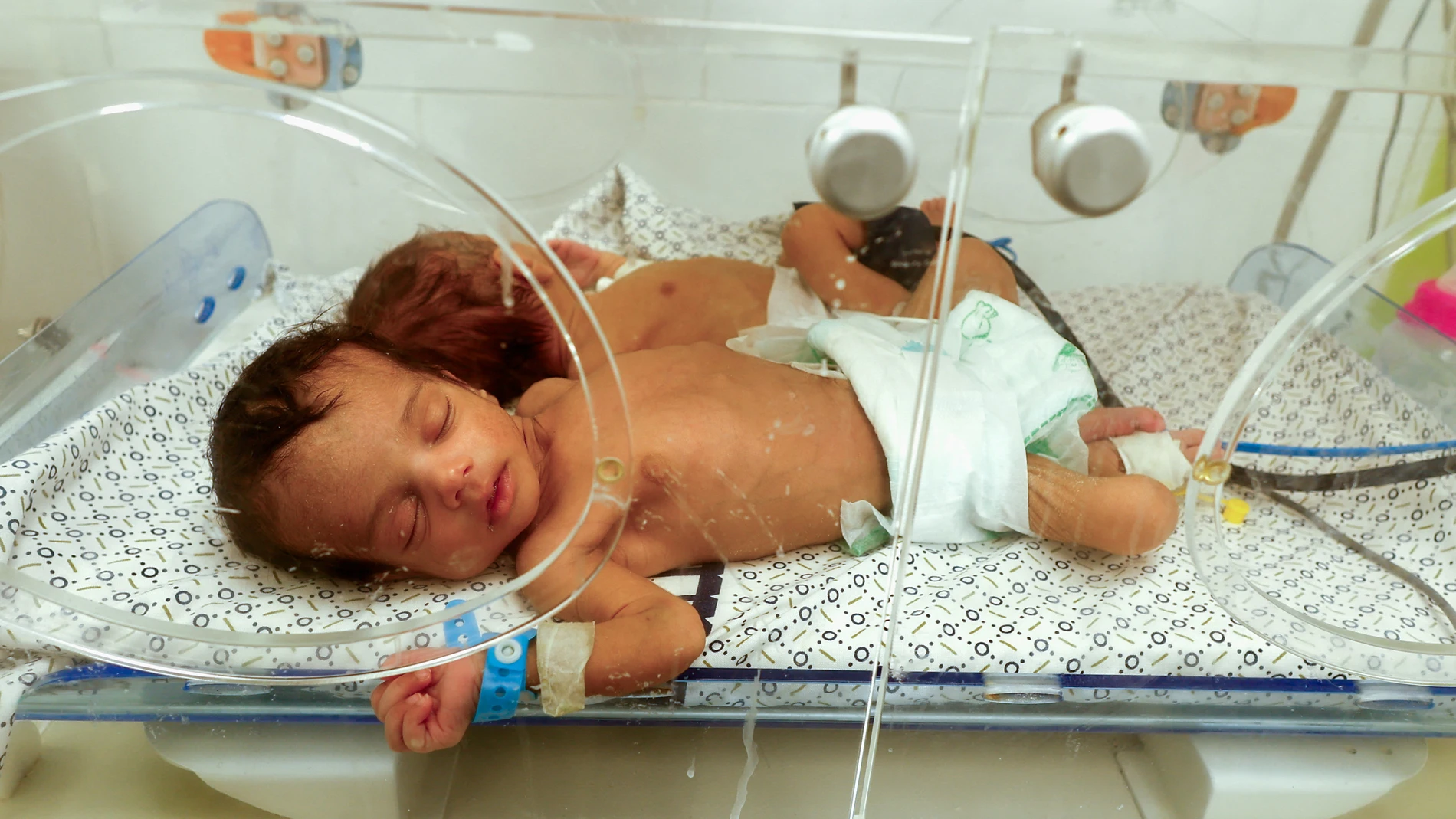 Bebés evacuados de Gaza