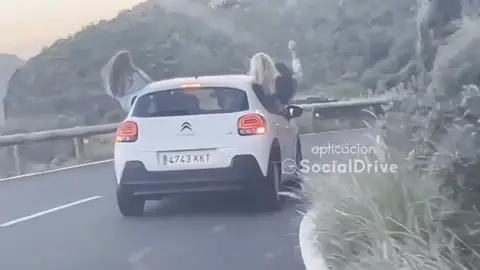 VÍDEO: arriesgan su vida al circular por una carretera de Tenerife con medio cuerpo fuera del coche VÍDEO: arriesgan su vida al circular por una carretera de Tenerife con medio cuerpo fuera del coche