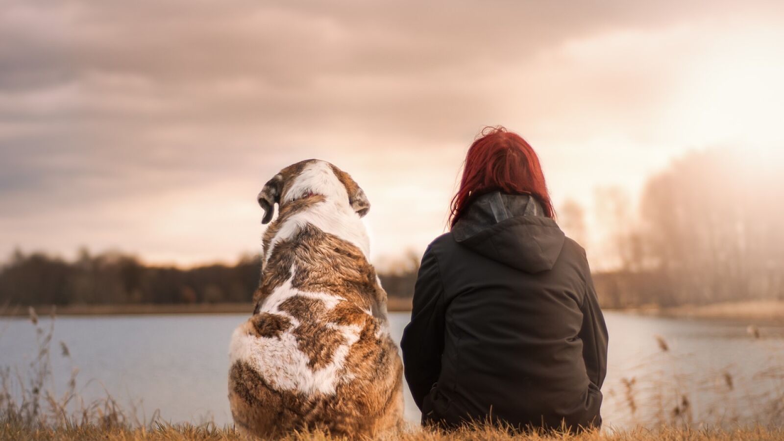 Top 10 de nombres de perro más populares en 2023