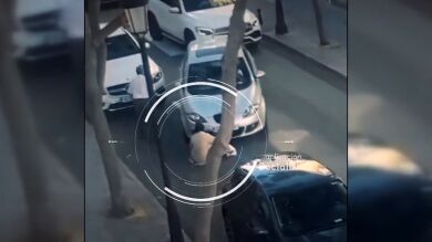 La guerra por conseguir aparcamiento en Fuengirola: 