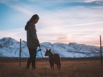 Un cazador dispara a una mujer que paseaba a su perro tras confundirlos con un ciervo sin astas