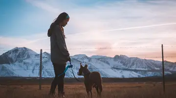 Un cazador dispara a una mujer que paseaba a su perro tras confundirlos con un ciervo sin astas