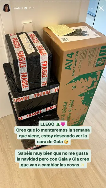 Violeta Mangriñán enseña las cajas dónde le ha llegado su árbol de Navidad Violeta Mangriñán enseña las cajas dónde le ha llegado su árbol de Navidad