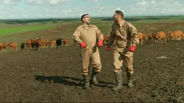 Dani García y Joaquín, rodeados de vacas