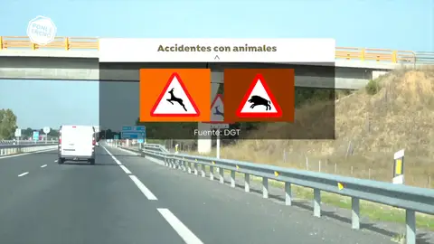 Nuevas señales Nuevas señales