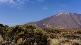 Parque Nacional El Teide Parque Nacional El Teide
