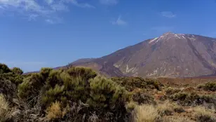 Parque Nacional El Teide