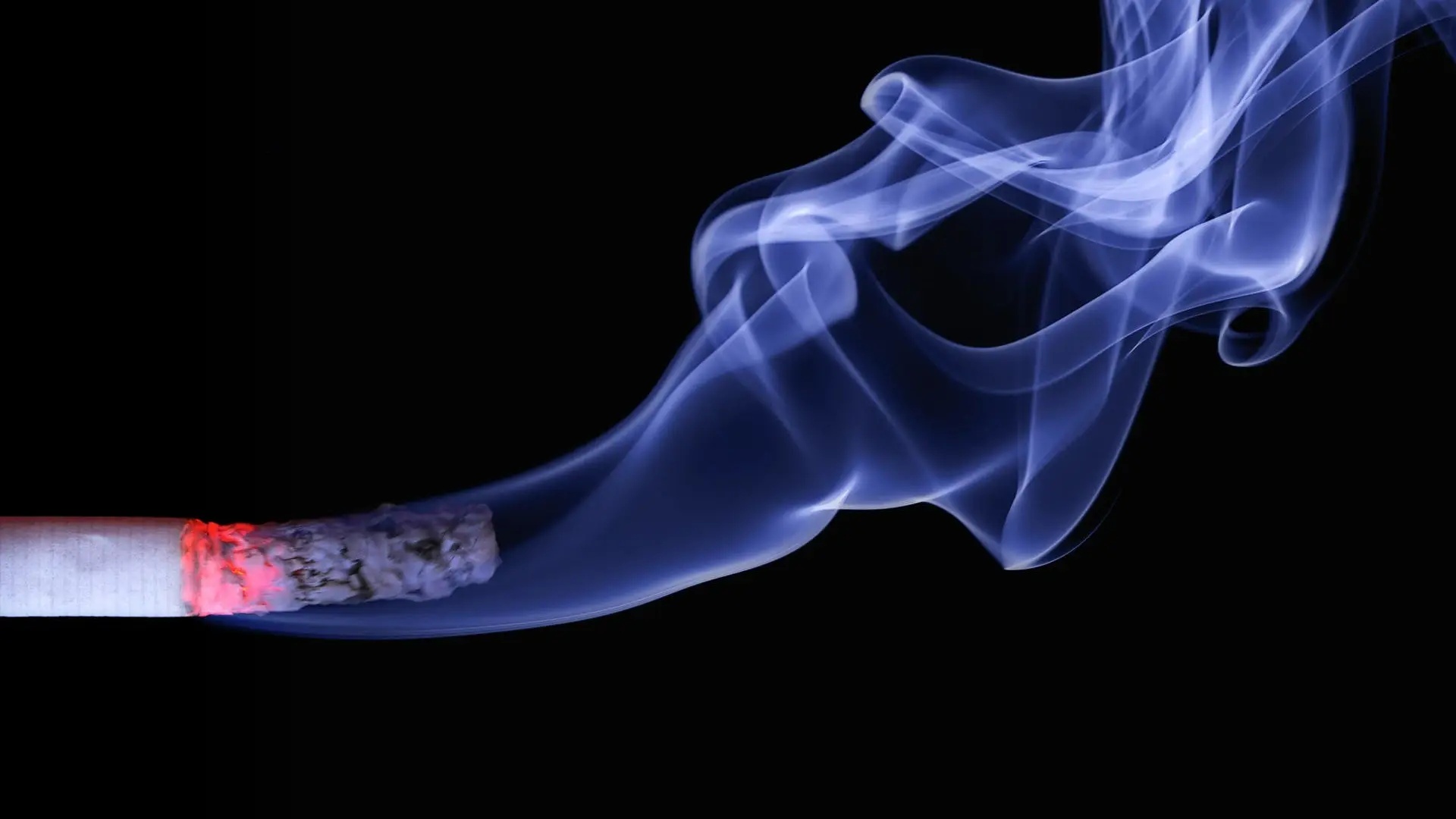 El desarrollo de los tumores es beneficiado por el tabaco El desarrollo de los tumores es beneficiado por el tabaco