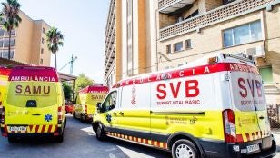 Una unidad SAMU y una SVB