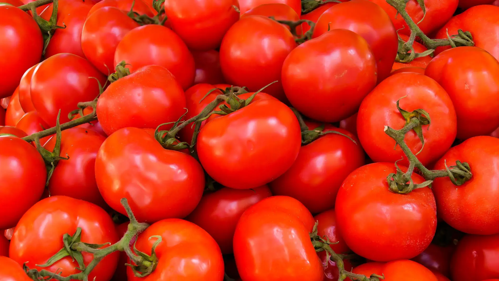 Imagen de tomates