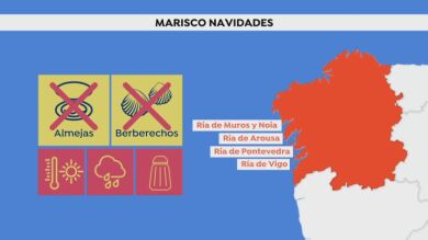 El marisco gallego en peligro: ¿Podremos comer almejas de las Rías esta Navidad?