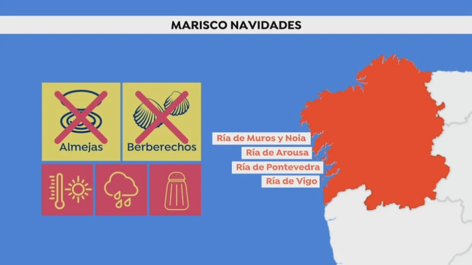 El marisco gallego en peligro: &iquest;Podremos comer almejas de las R&iacute;as esta Navidad?
