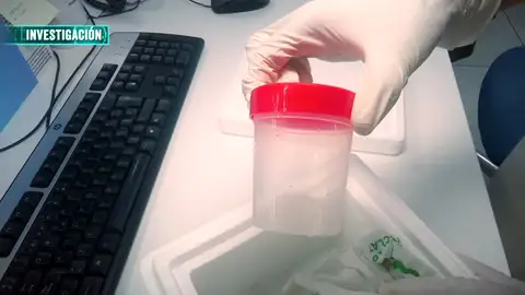 Los expertos alertan del incremento de la compra de semen a través de internet, una práctica muy peligrosa Los expertos alertan del incremento de la compra de semen a través de internet, una práctica muy peligrosa