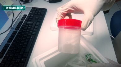Los expertos alertan del incremento de la compra de semen a través de internet, una práctica muy peligrosa
