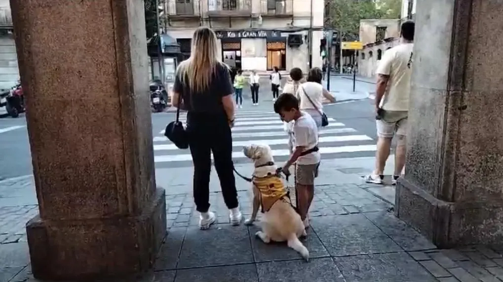 Primer paseo en Madrid de Asier y Prosa Primer paseo en Madrid de Asier y Prosa