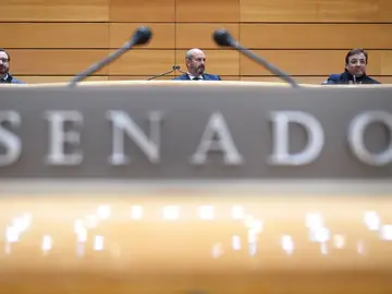 El presidente del Senado, Pedro Rollán, durante un pleno en el Senado El presidente del Senado, Pedro Rollán, durante un pleno en el Senado