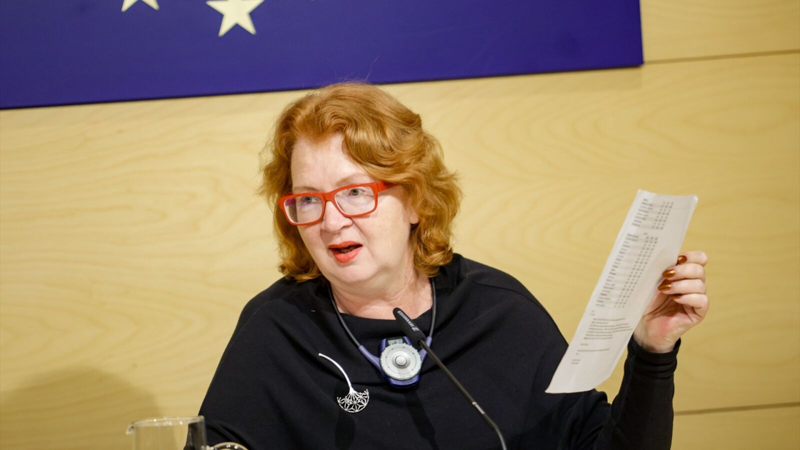Los eurodiputados enviados a Cataluña creen que el catalán predomina sobre el castellano en los colegios