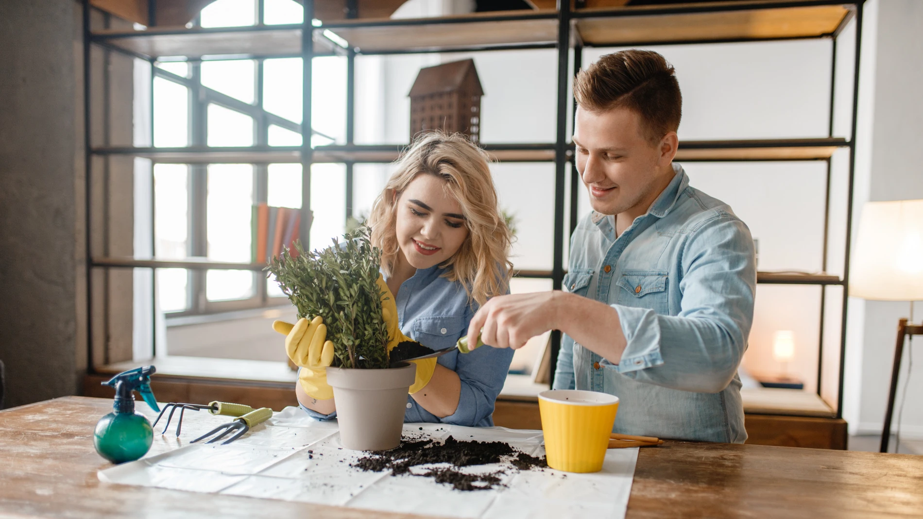 Consejos para cuidar tus plantas Consejos para cuidar tus plantas