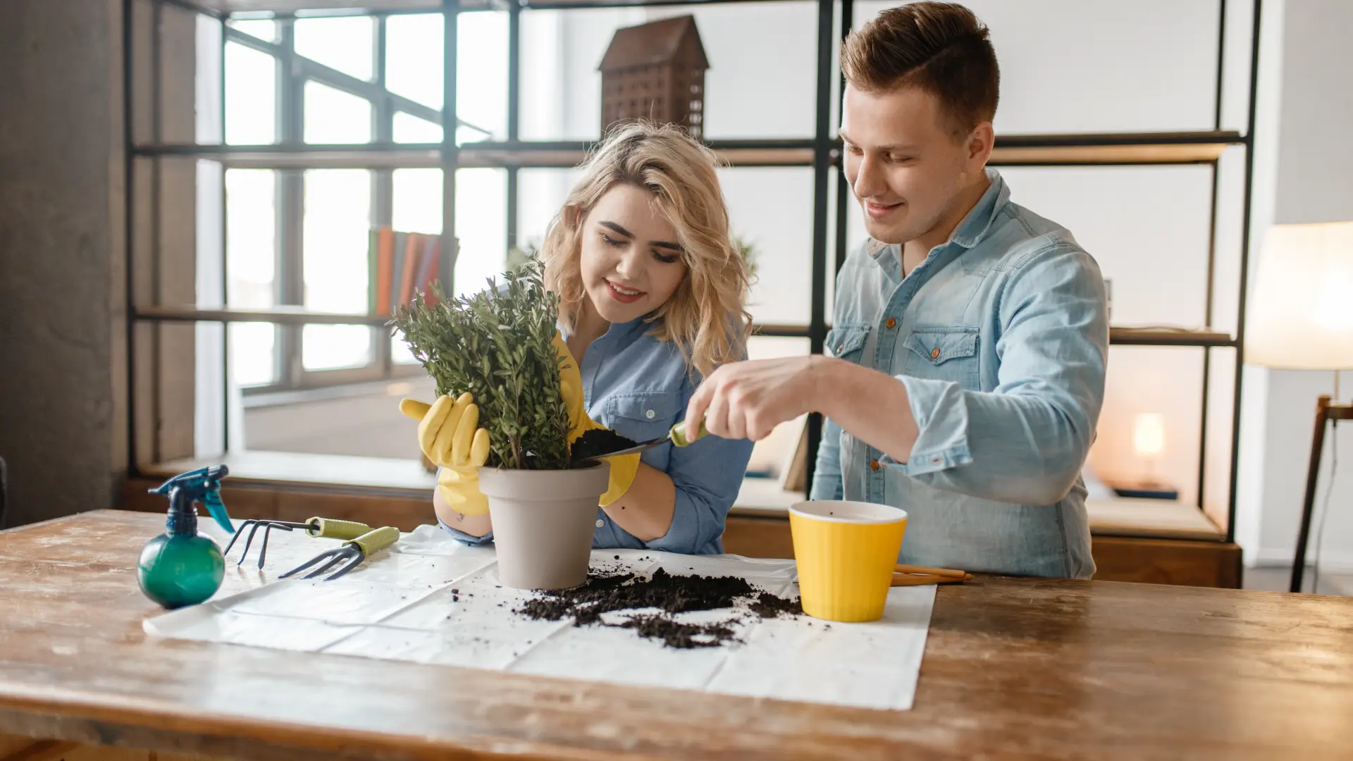 Consejos para cuidar tus plantas Consejos para cuidar tus plantas