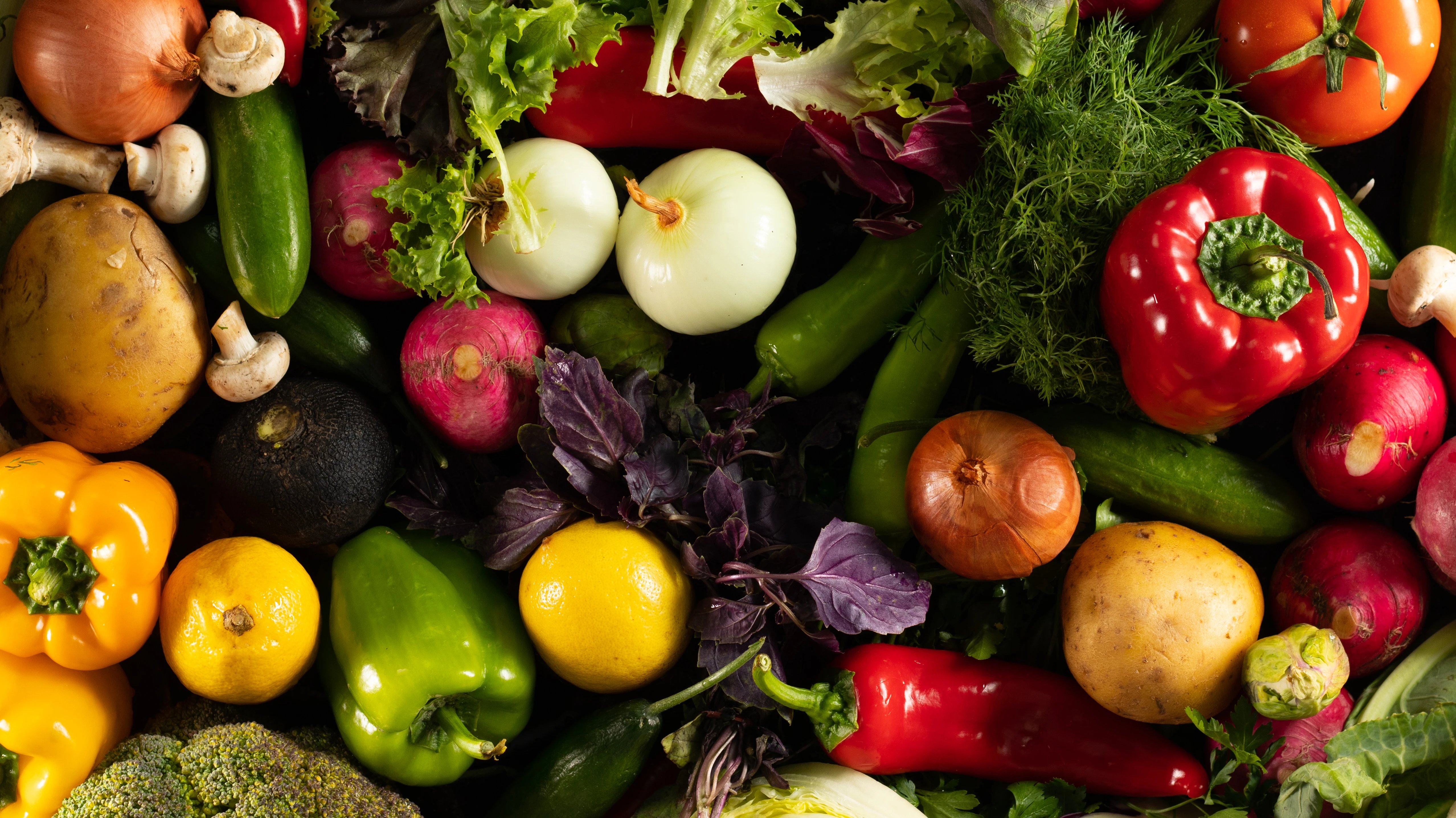 Ingredientes Ingredientes