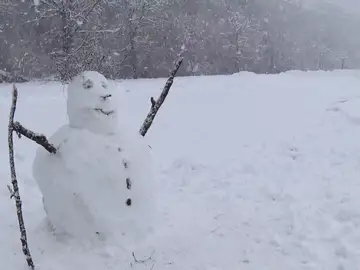 Muñeco de nieve Muñeco de nieve