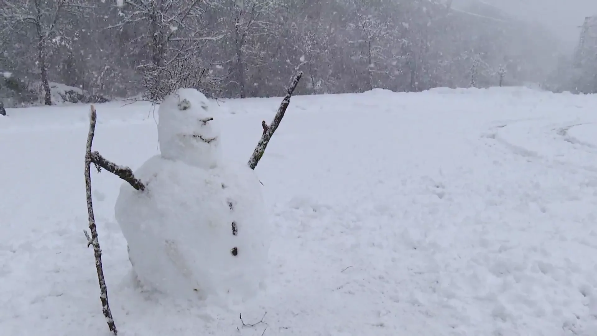 Muñeco de nieve Muñeco de nieve