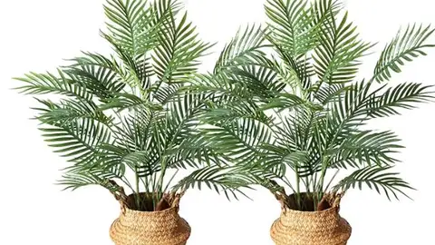 Planta de palma artificial Planta de palma artificial