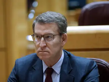 Alberto Núñez Feijóo, presidente del PP Alberto Núñez Feijóo, presidente del PP