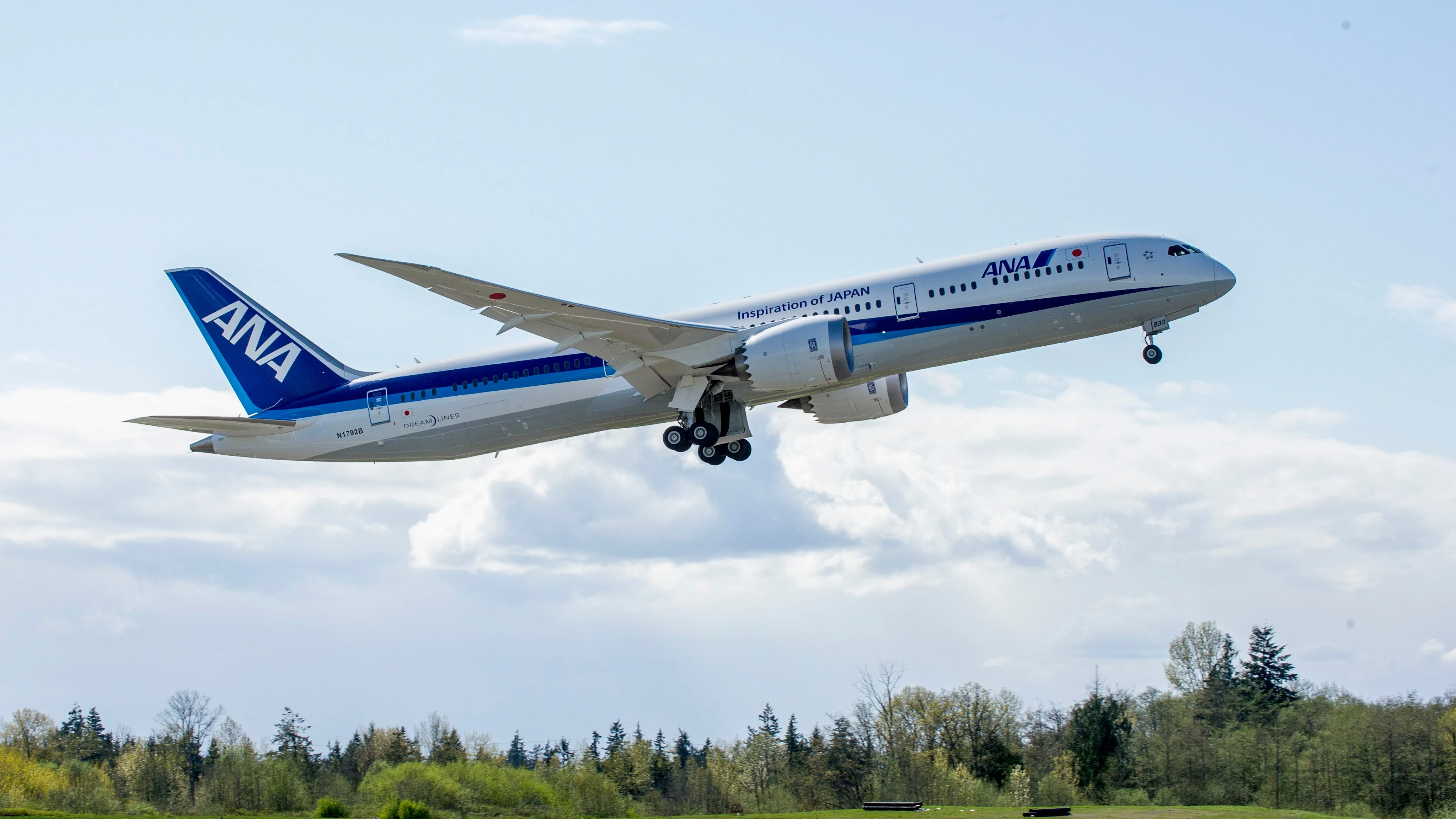 Imagen de un avi&oacute;n de All Nippon Airways