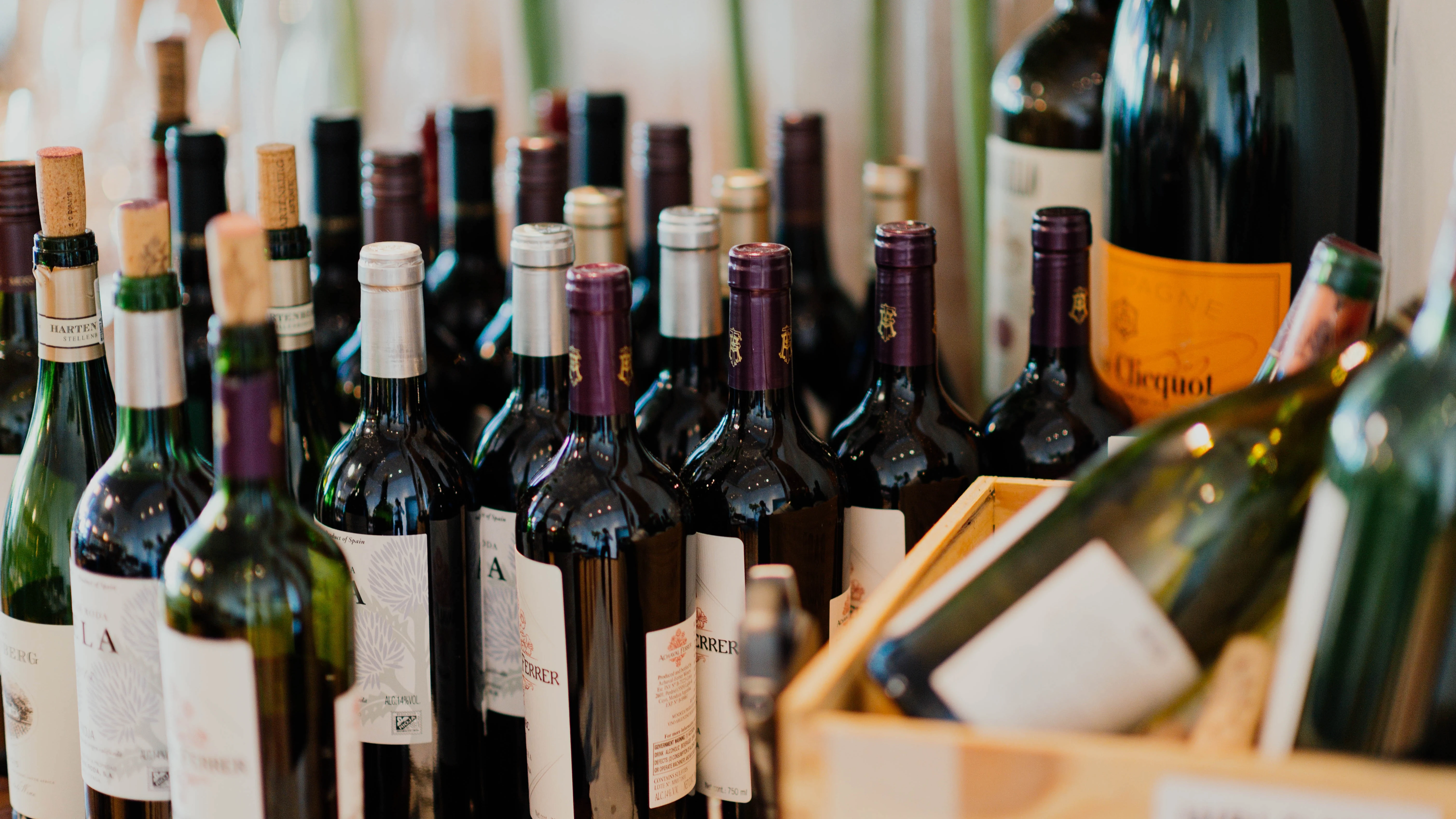 Botellas de vino