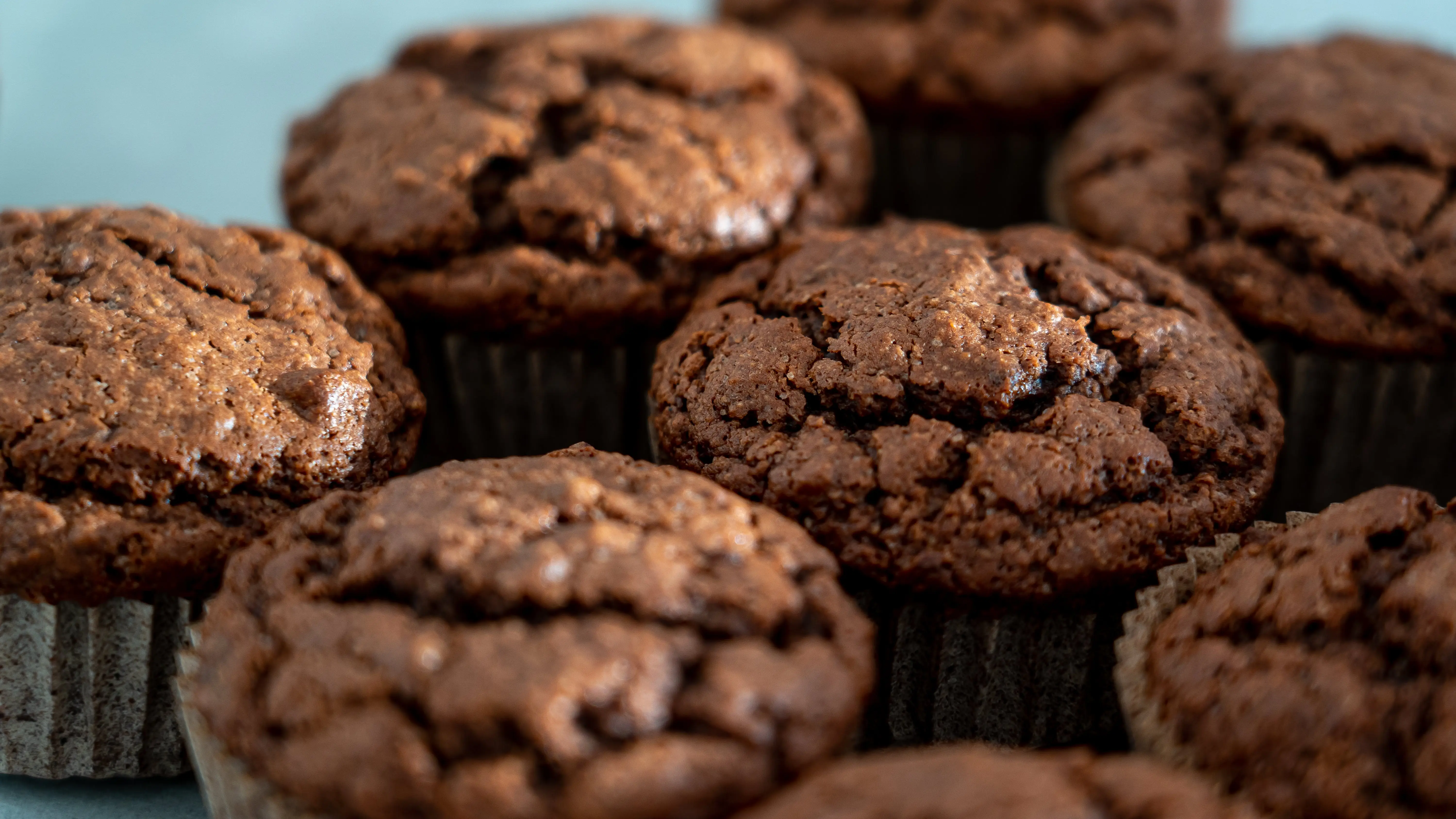 Muffins de chocolate Muffins de chocolate
