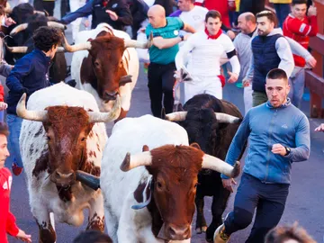Encierro blanco en San Sebastián de los Reyes Encierro blanco en San Sebastián de los Reyes