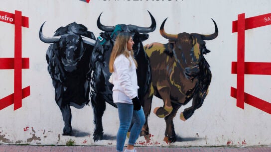 Una mujer pasa delante de un mural durante los "Encierros Blancos" en San Sebasti&aacute;n de los Reyes, Madrid, este s&aacute;bado