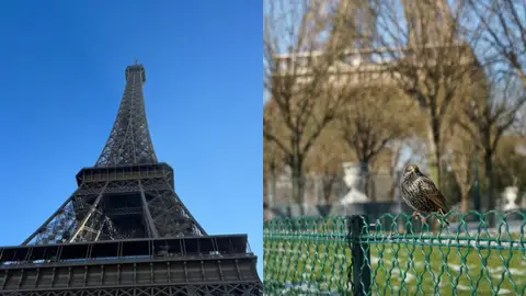 Imágenes de París de las stories de Aitana y Enzo Vogrincic Imágenes de París de las stories de Aitana y Enzo Vogrincic