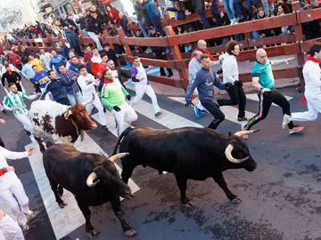 "Encierros Blancos" en San Sebastián de los Reyes, Madrid, este sábado "Encierros Blancos" en San Sebastián de los Reyes, Madrid, este sábado