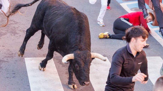 Varias personas corren junto a morlacos este domingo durante los "encierros blancos"