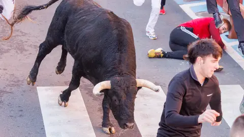 Varias personas corren junto a morlacos este domingo durante los "encierros blancos" Varias personas corren junto a morlacos este domingo durante los "encierros blancos"