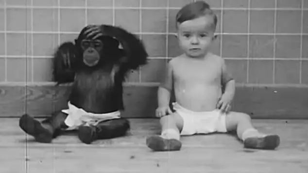 Experimento de crianza mono-ni&ntilde;o