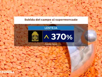 Subida del precio de las lentejas Subida del precio de las lentejas